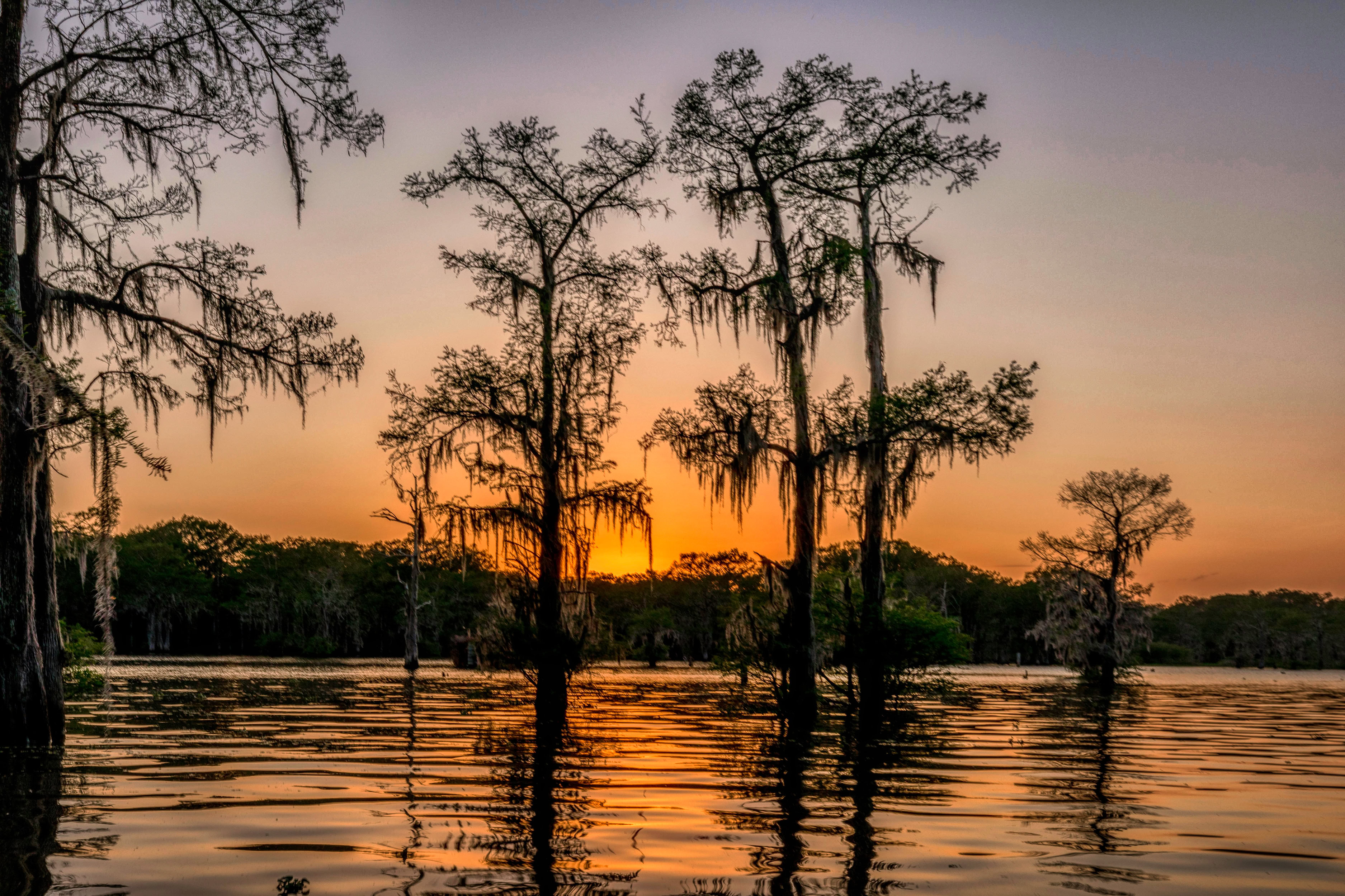 lafayette louisiana